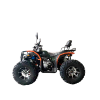 Квадроцикл TZR DEFENDER 300 4x4